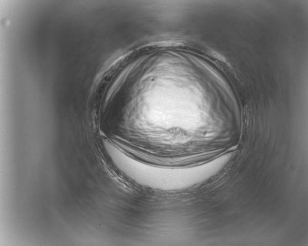 X0000064721448200603031603