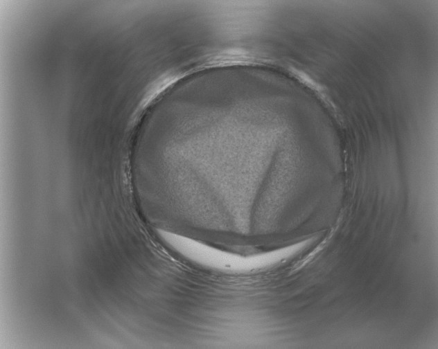 X0000064721453200603031603