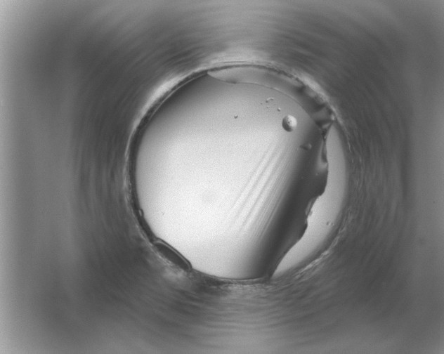X0000064721469200603031603