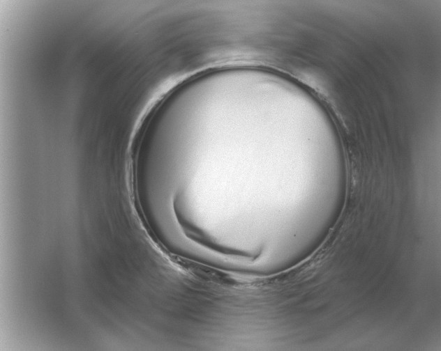 X0000064721472200603031603