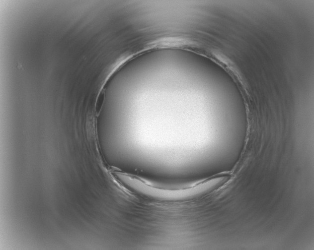 X0000064721473200603031603