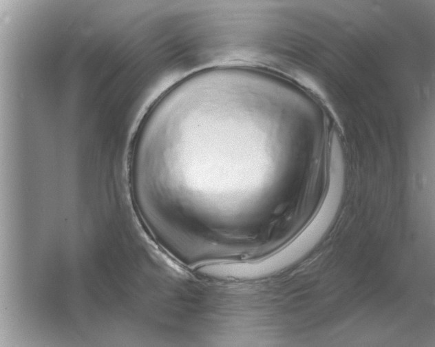 X0000064721480200603031603