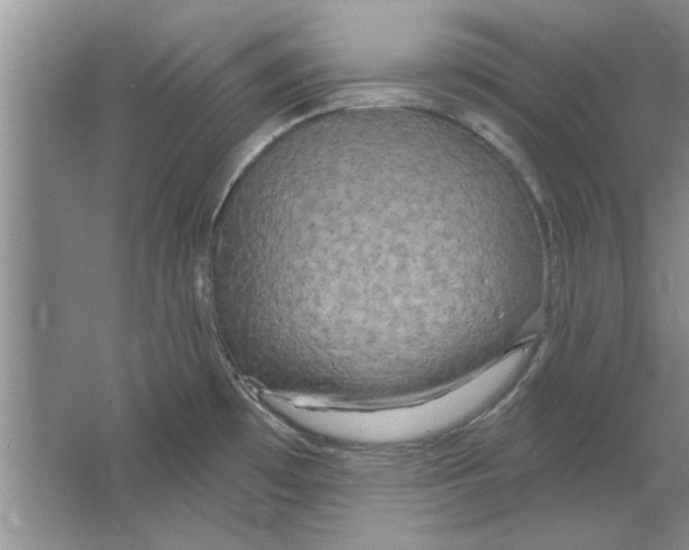 X0000064721481200603031603