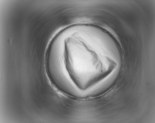 X0000064721488200603031603