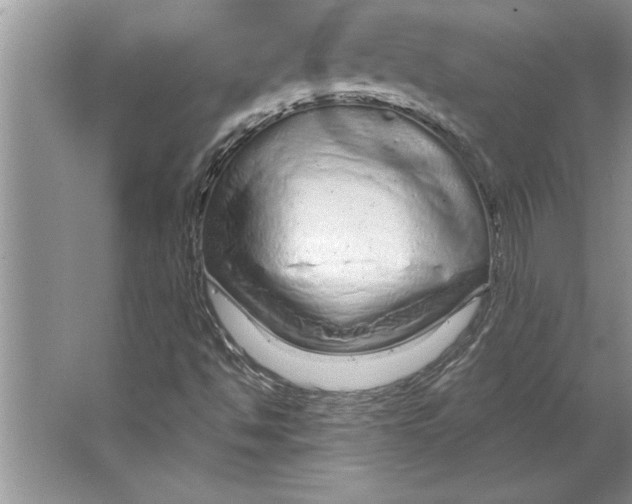 X0000064721494200603031602