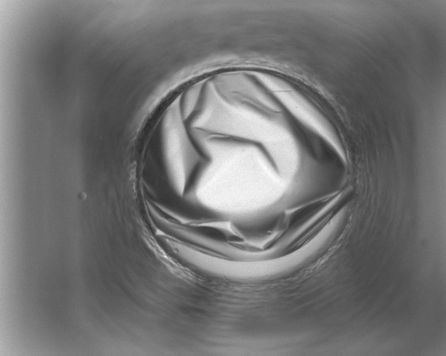 X0000064721503200603031602