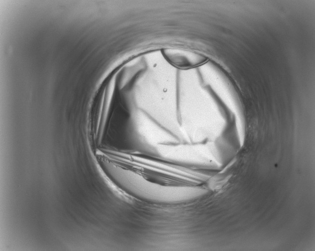X0000064721523200603031602