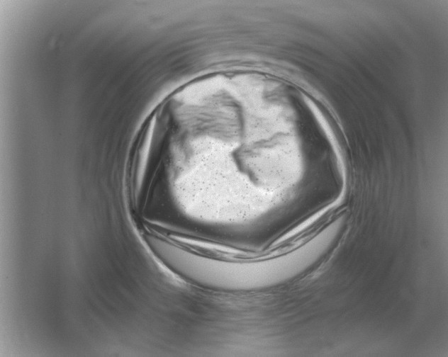 X0000064721533200603031602