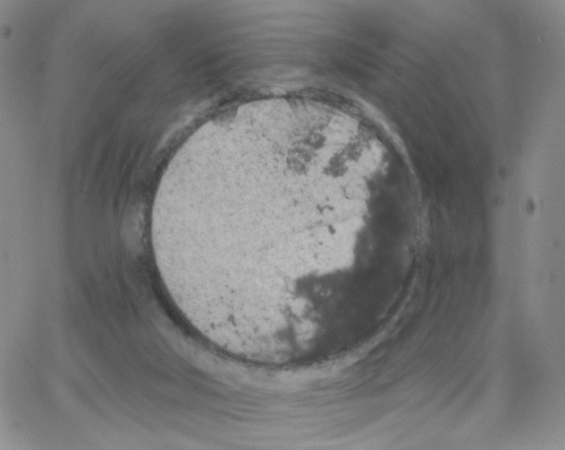 X0000064720018200603131239