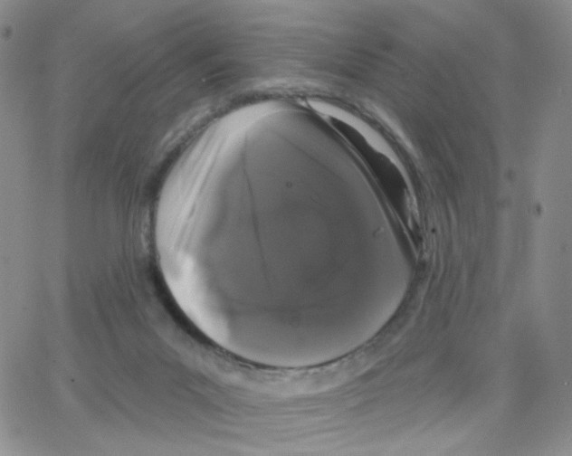 X0000064720023200603131239