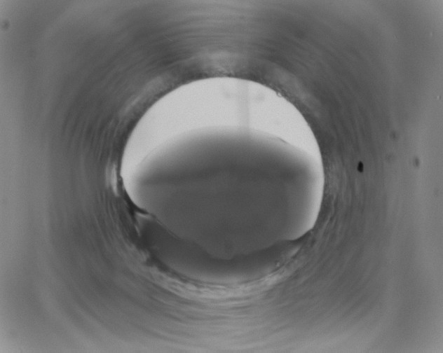 X0000064720027200603131239