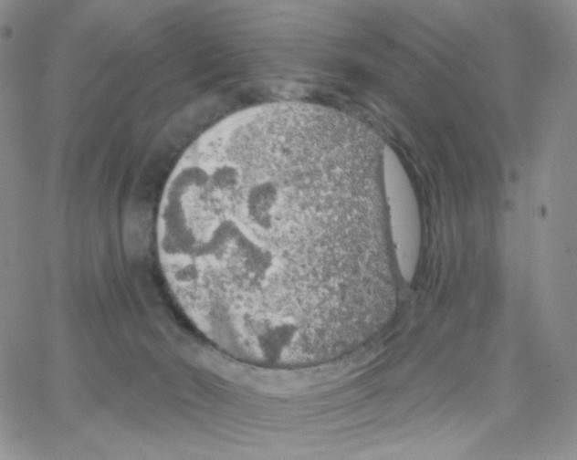 X0000064720030200603131239