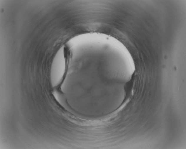 X0000064720031200603131239