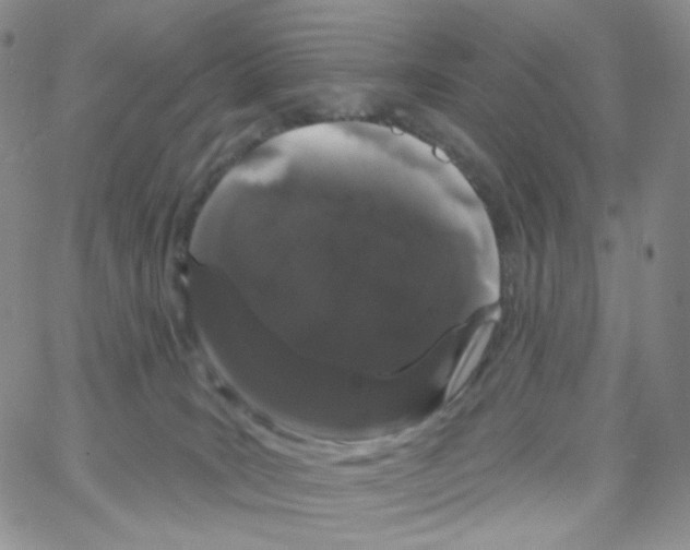 X0000064720035200603131239