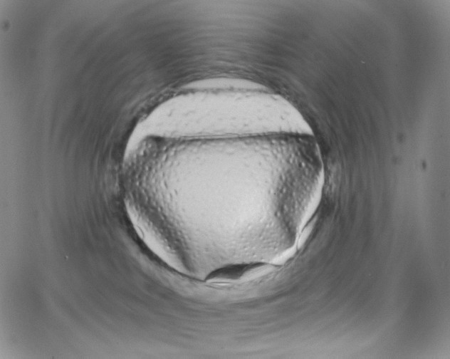 X0000064720043200603131239