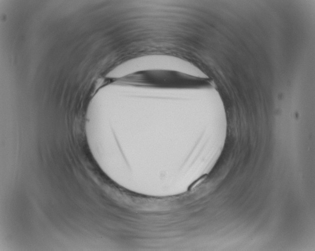 X0000064720044200603131239