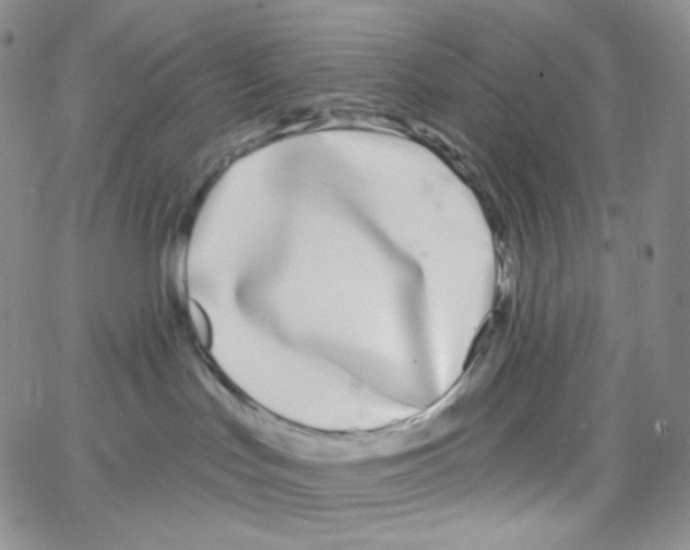 X0000064720047200603131239