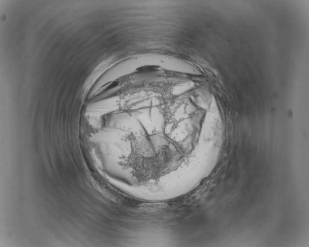 X0000064720051200603131238
