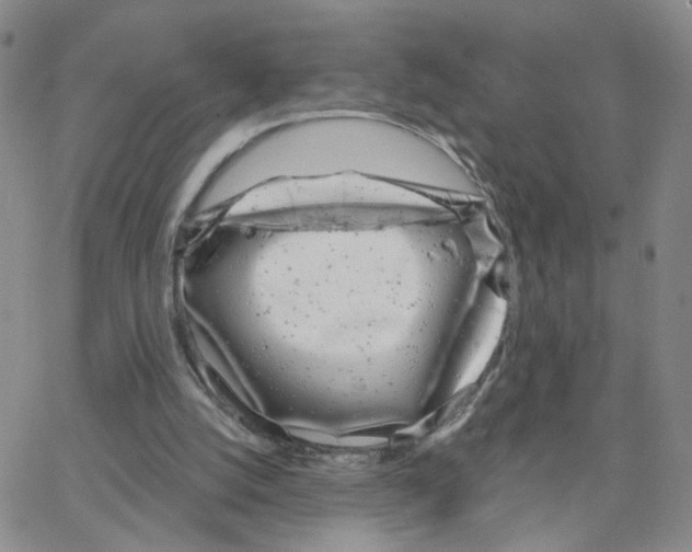 X0000064720056200603131238
