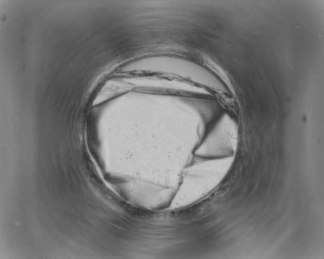 X0000064720059200603131238