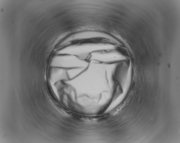 X0000064720062200603131238