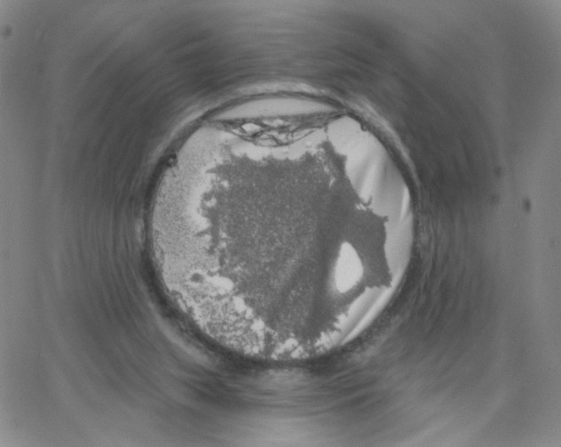 X0000064720063200603131238