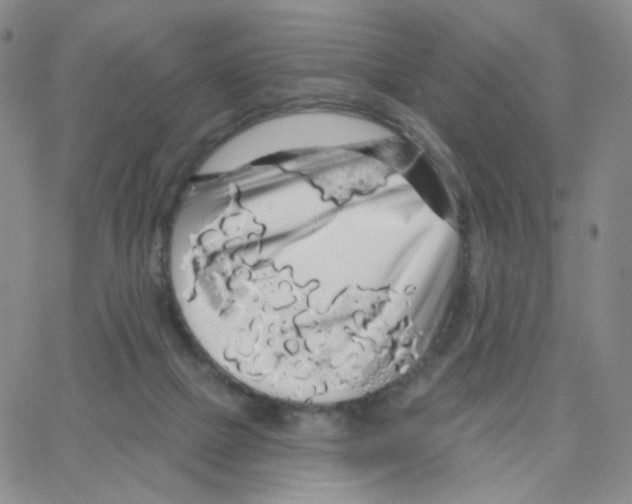 X0000064720073200603131238