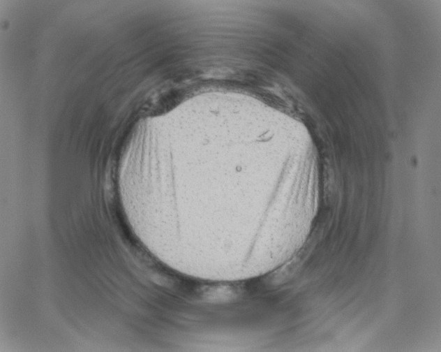 X0000064720074200603131238
