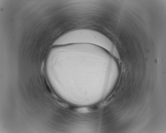 X0000064720075200603131238