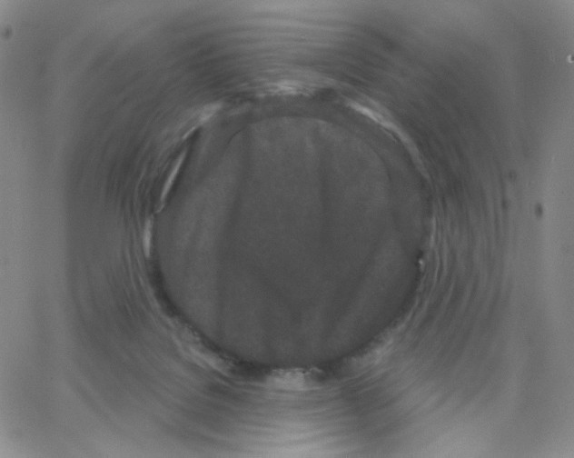 X0000064720076200603131238