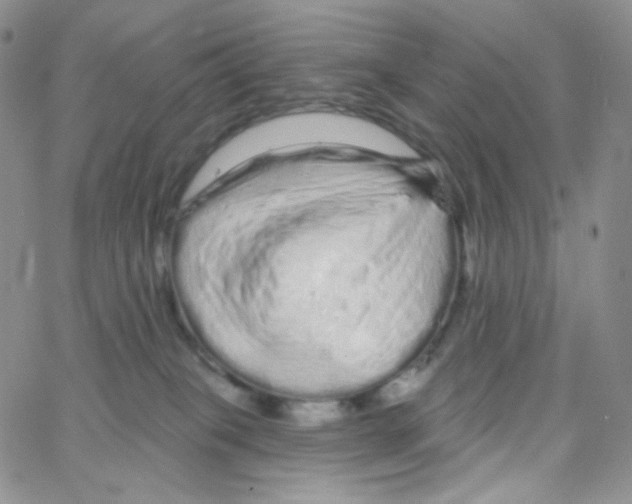 X0000064720085200603131239