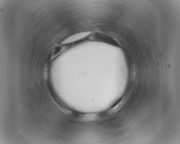 X0000064720090200603131239