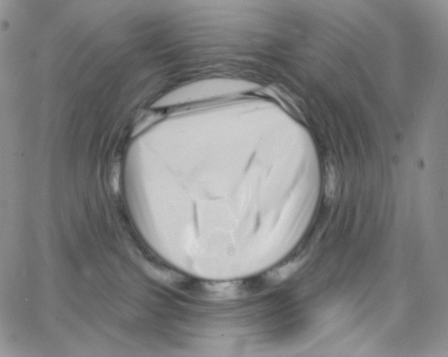 X0000064720091200603131239