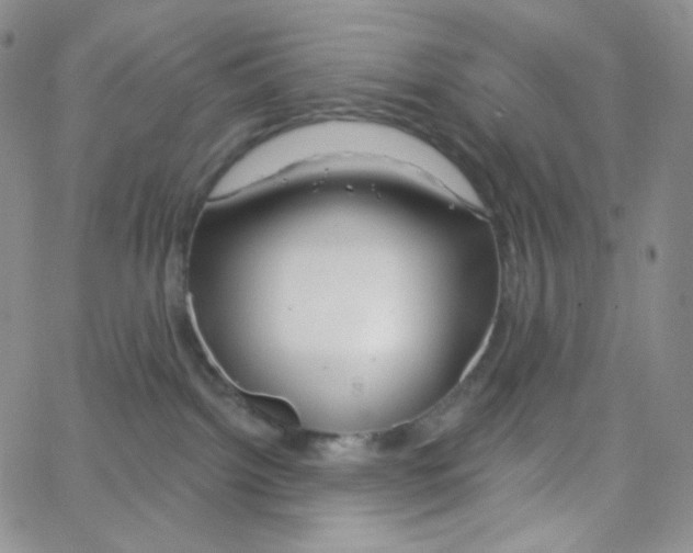 X0000064720092200603131239