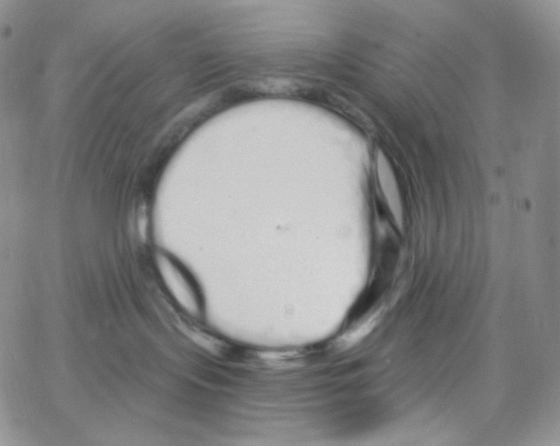 X0000064720095200603131239