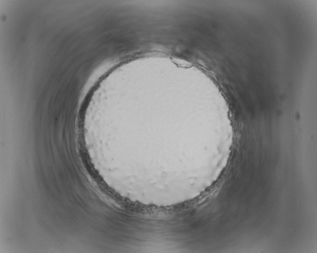 X0000064720102200603131238