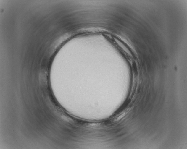 X0000064720111200603131238