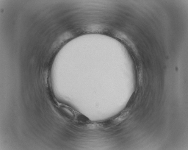 X0000064720115200603131238