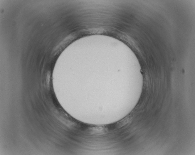 X0000064720118200603131238