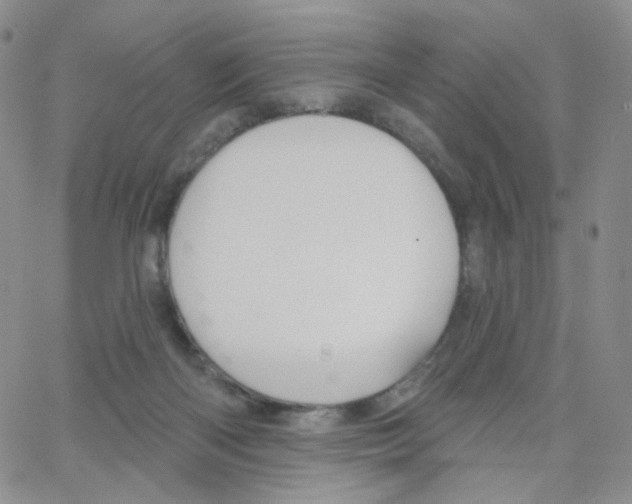 X0000064720122200603131238