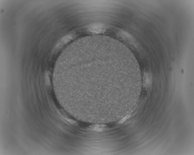 X0000064720128200603131238