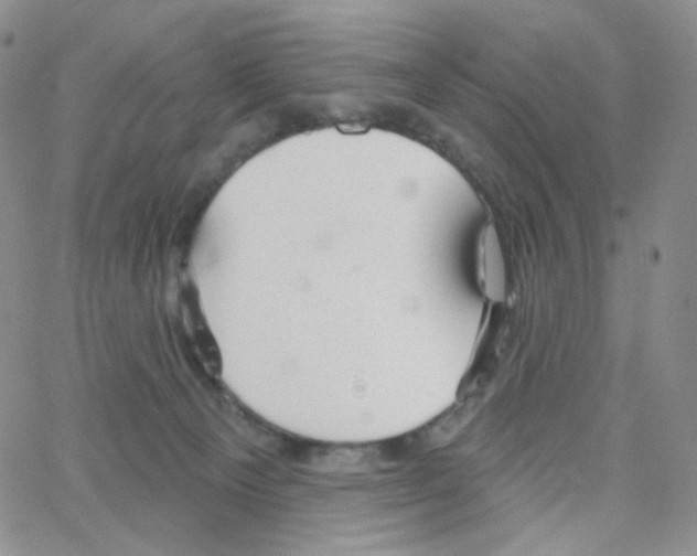 X0000064720129200603131238
