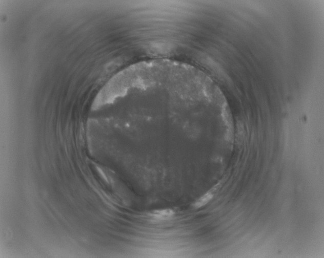 X0000064720130200603131237