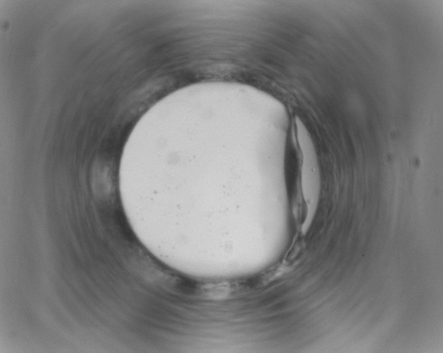 X0000064720131200603131237