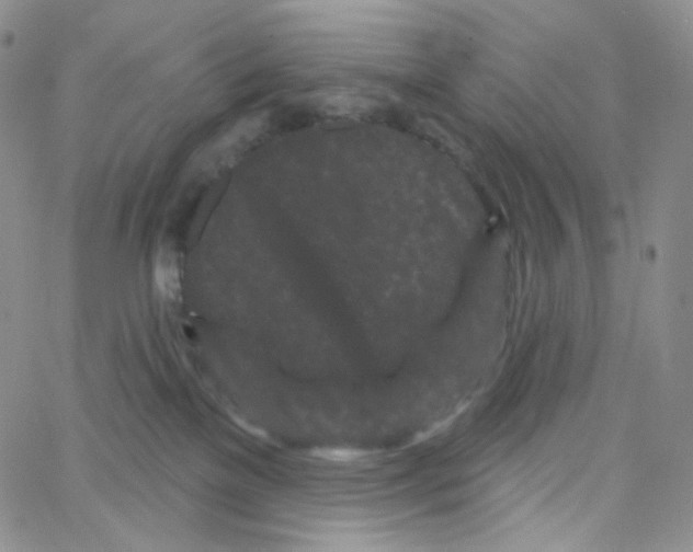 X0000064720137200603131237