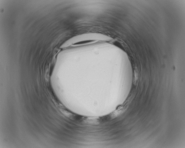 X0000064720138200603131237