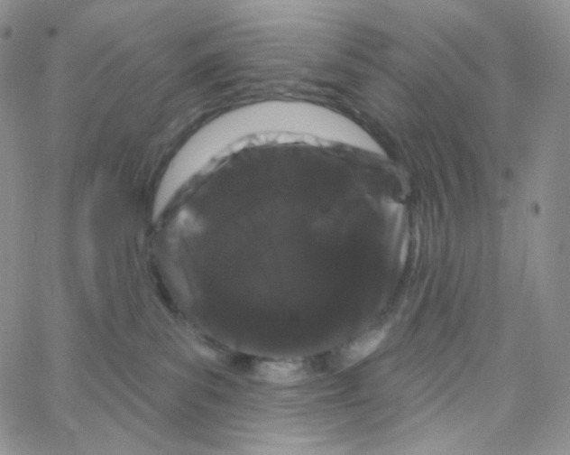 X0000064720139200603131237