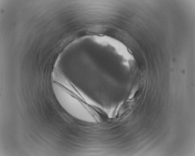 X0000064720143200603131237
