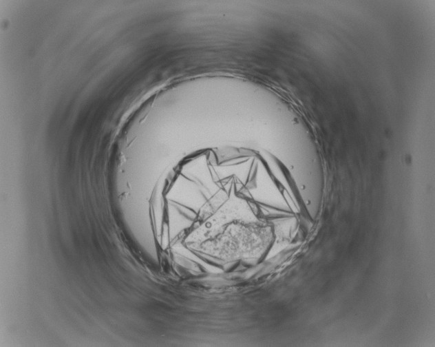X0000064720146200603131236