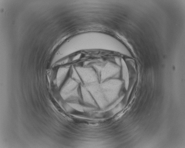 X0000064720154200603131237